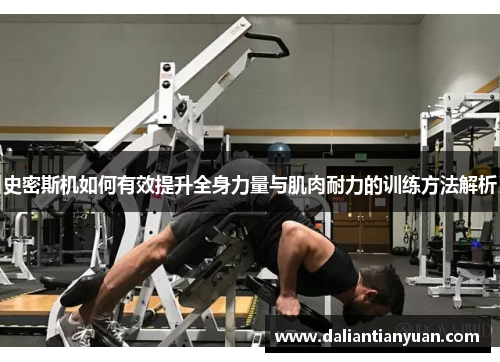 史密斯机如何有效提升全身力量与肌肉耐力的训练方法解析