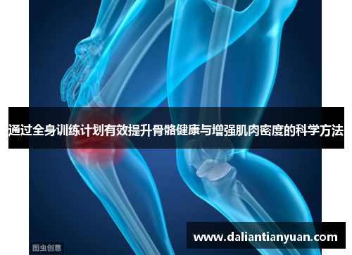 通过全身训练计划有效提升骨骼健康与增强肌肉密度的科学方法