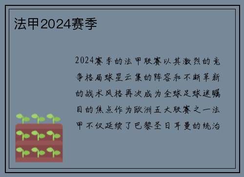 法甲2024赛季
