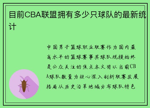 目前CBA联盟拥有多少只球队的最新统计
